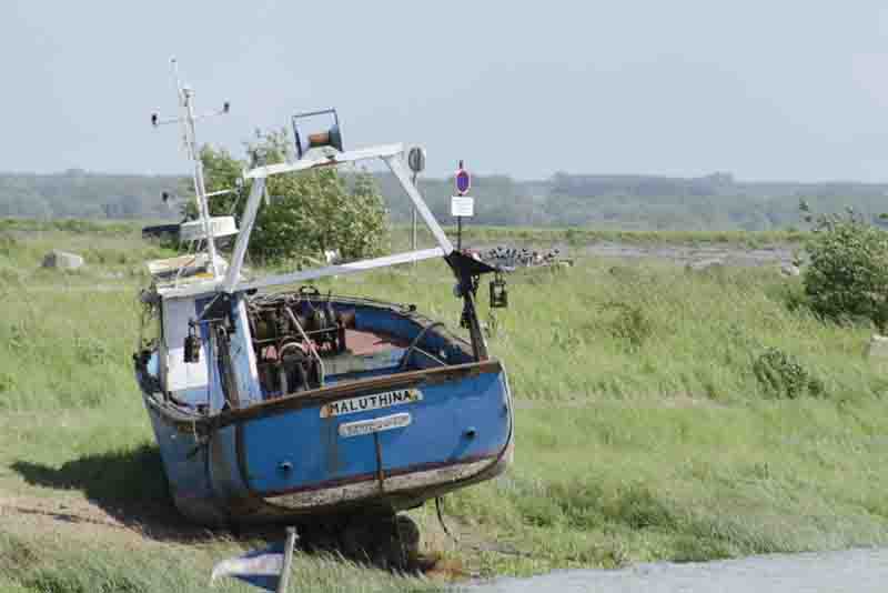 Francia - Bahía de Somme 32 - Le Cotroy - puerto.jpg